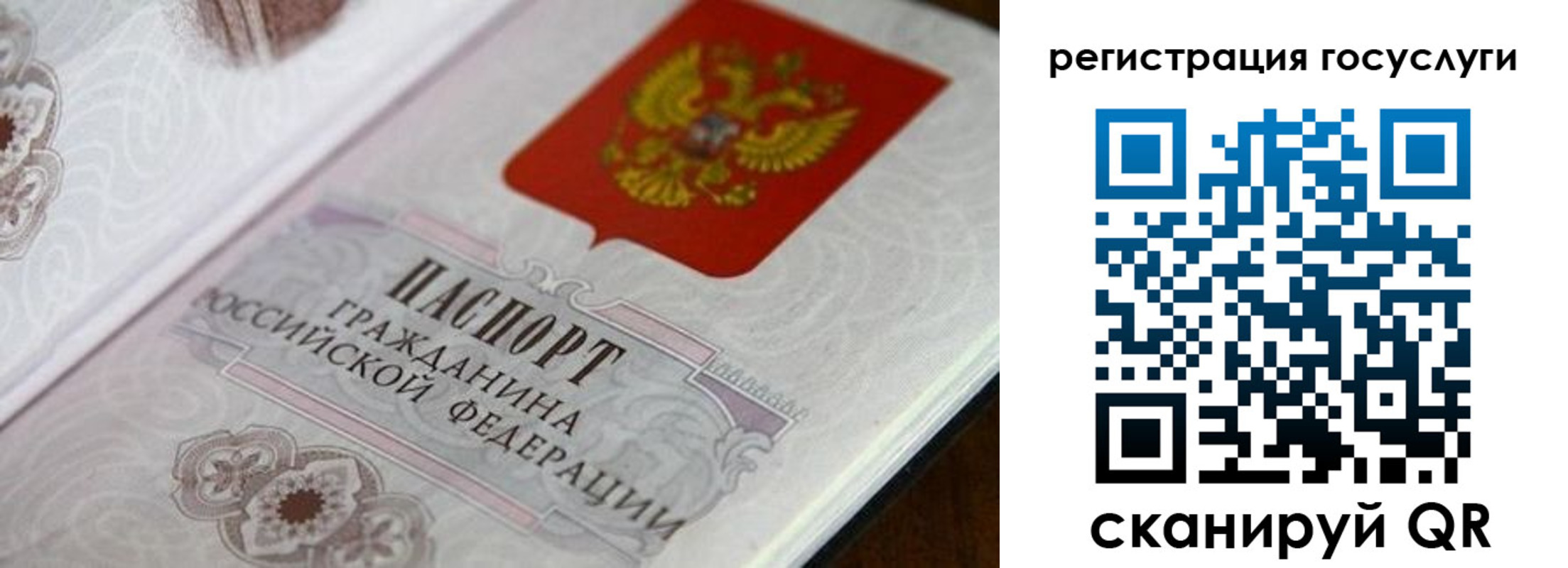 прописка 2025 в Новочеркасске